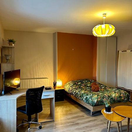 Charmant Studio De 50 M2 Chaumont (Haute-Marne) Exterior foto