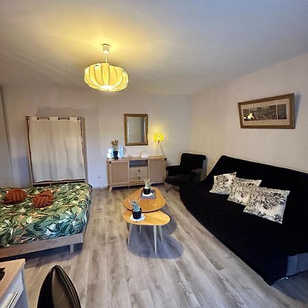 Charmant Studio De 50 M2 Chaumont (Haute-Marne) Exterior foto