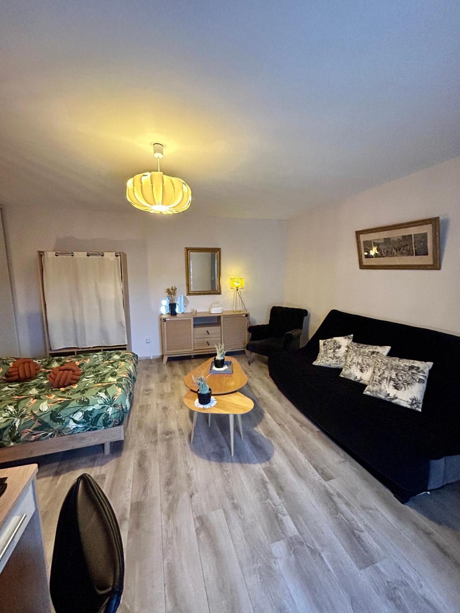 Charmant Studio De 50 M2 Chaumont (Haute-Marne) Exterior foto